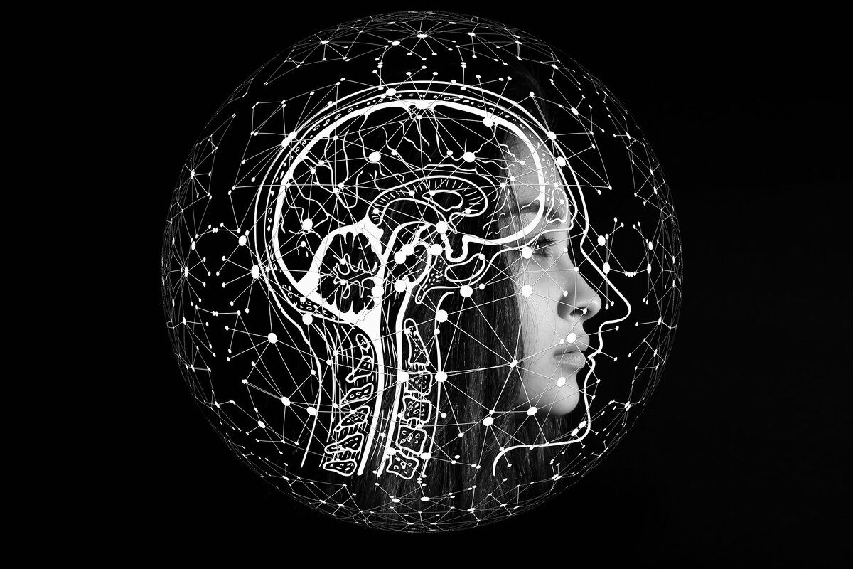 https://pixabay.com/ru/illustrations/%D0%B8%D1%81%D0%BA%D1%83%D1%81%D1%81%D1%82%D0%B2%D0%B5%D0%BD%D0%BD%D1%8B%D0%B9-%D0%B8%D0%BD%D1%82%D0%B5%D0%BB%D0%BB%D0%B5%D0%BA%D1%82-%D0%BC%D0%BE%D0%B7%D0%B3-%D0%B4%D1%83%D0%BC%D0%B0%D1%82%D1%8C-4389372/