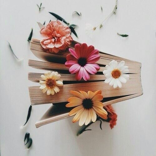 https://www.pinterest.ru/pin/502081058455756950/