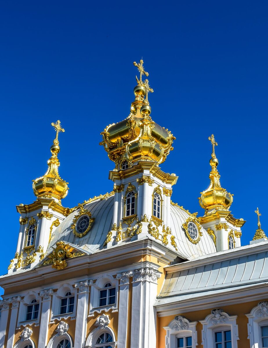 Фото автора Enrique Hoyos : Pexels 