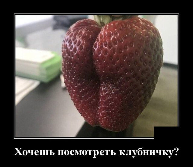 взято из открытых источников