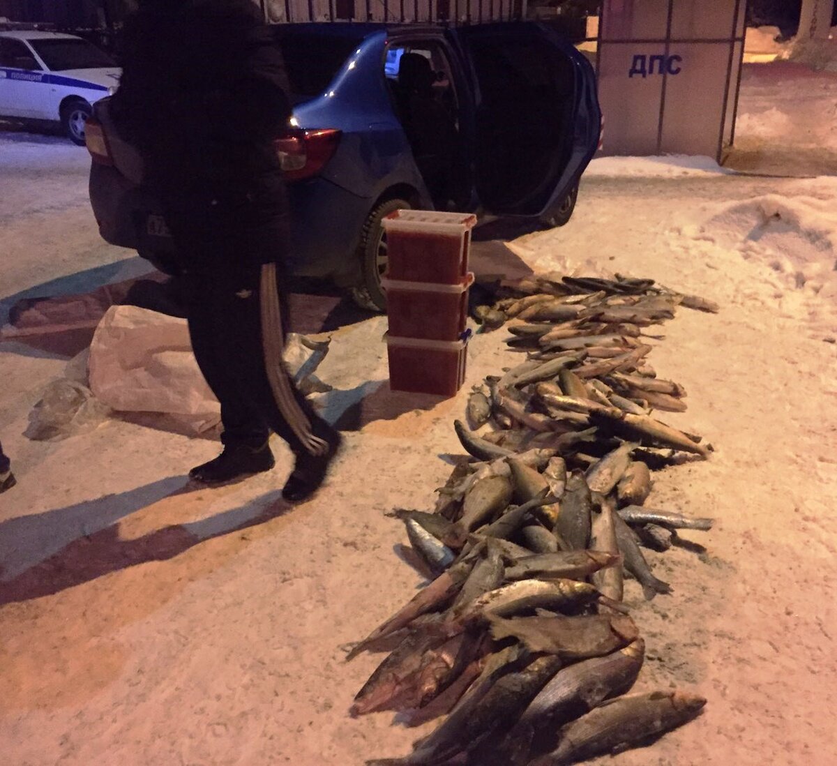 http://noturfish.ru/news/v-tyumenskoy-oblasti-presechen-oborot-zapreschennyih-k-vyilovu-vidov-vodnyih-biologicheskih-resursov