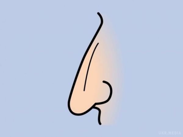 Нубийский нос