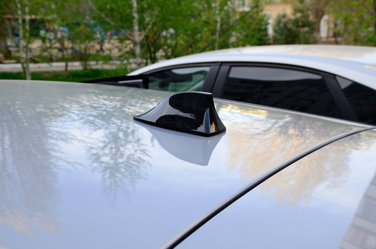 Источник: Яндекс.Картинки. Фото взято для иллюстрации