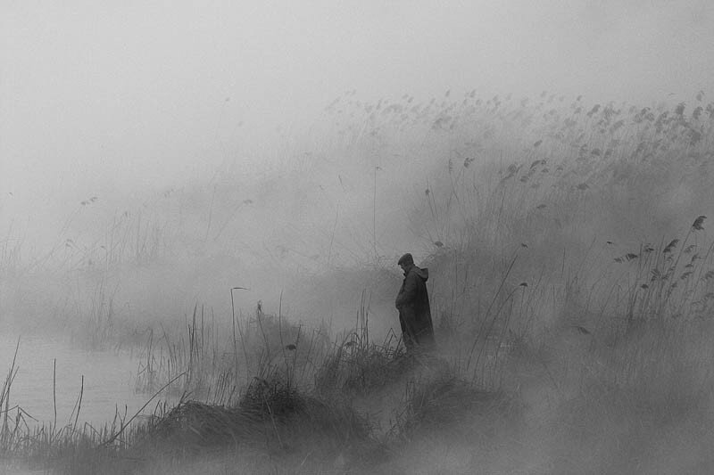 Фото: http://rasfokus.ru/sova57