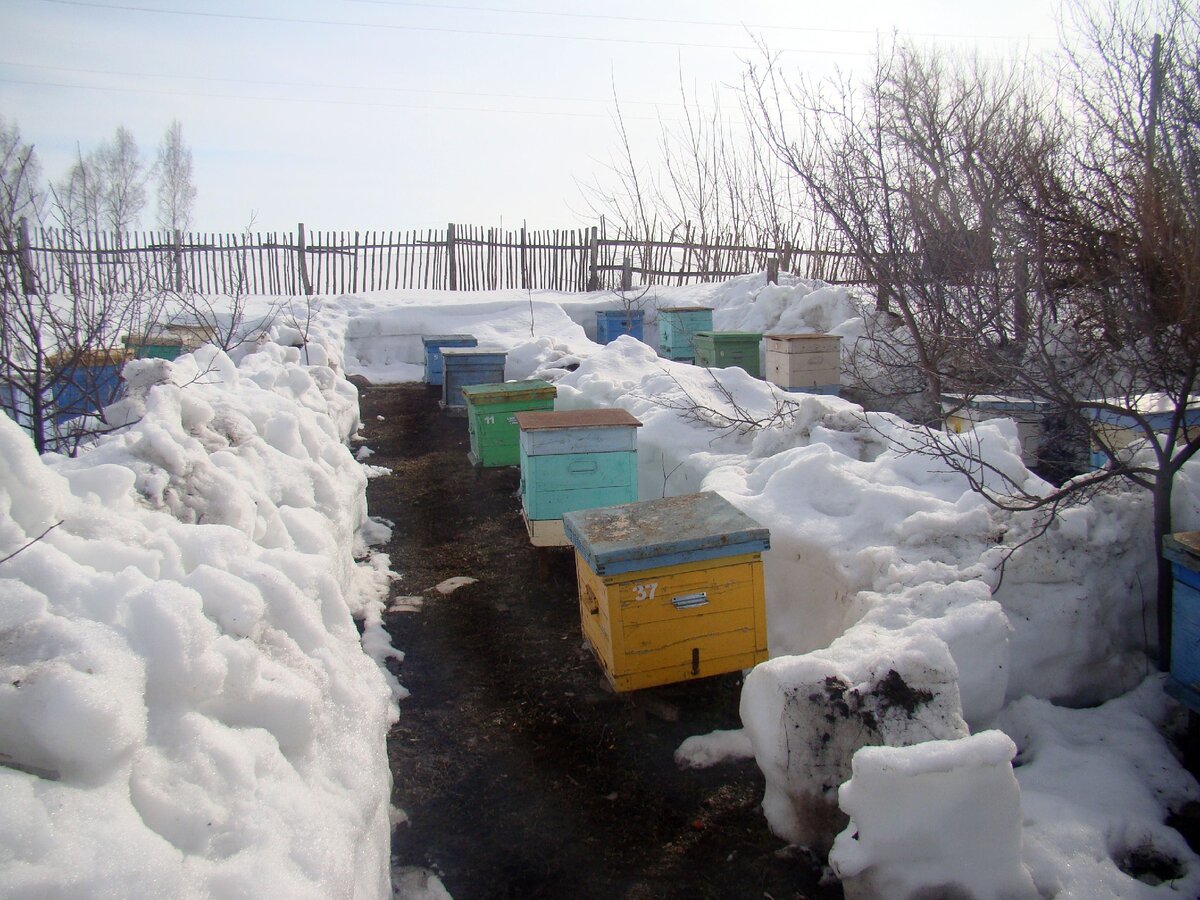 Так стояли семьи в прошлом 2019 году