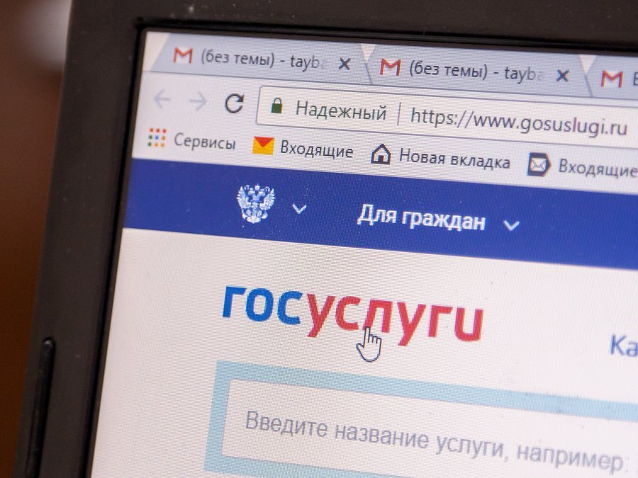 Сервис госуслуг на мониторе компьютера. Фото: https://rbsmi.ru