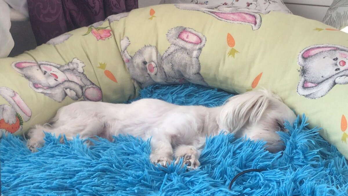 Чтобы не проваляться в кровати весь карантин, придумайте занятие