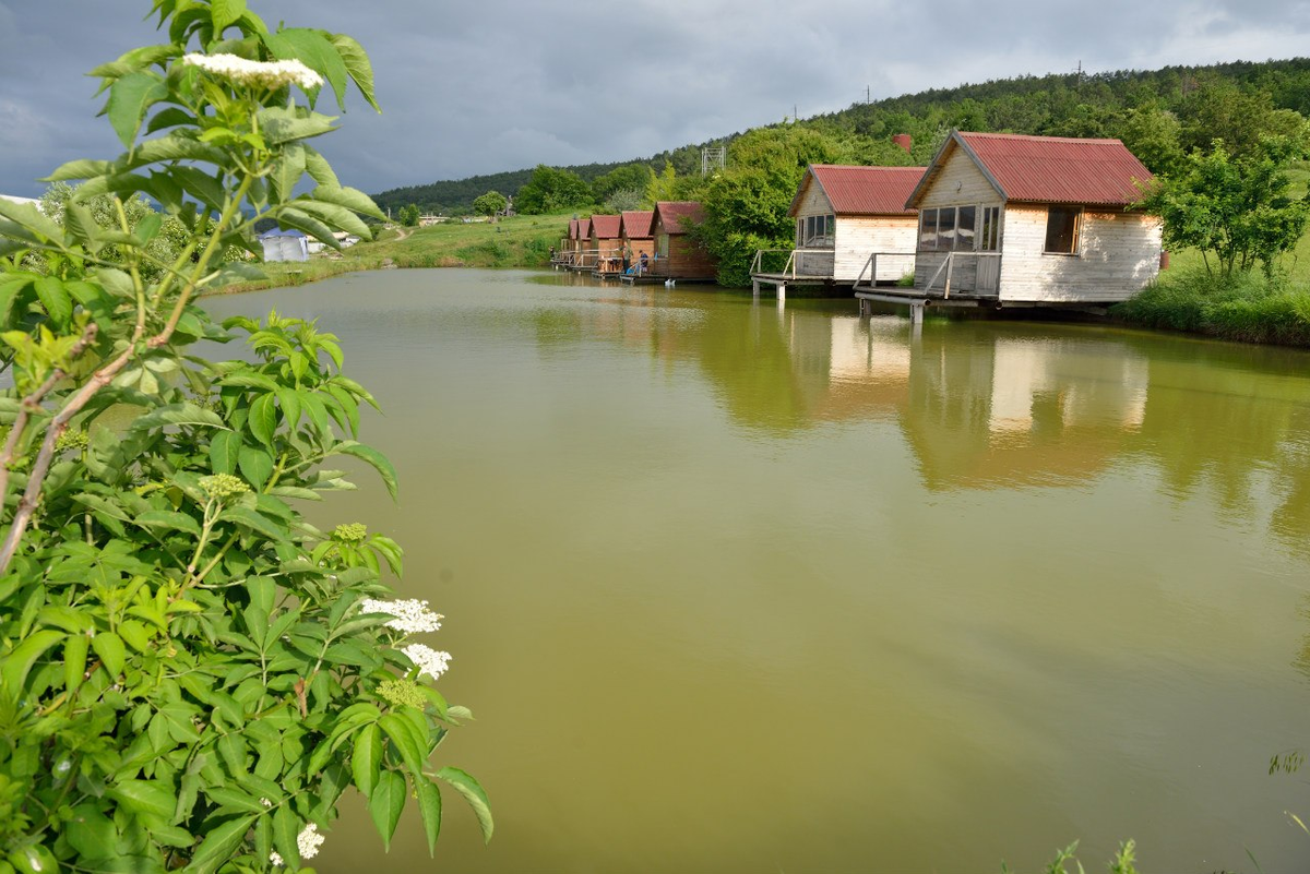 Платная рыбалка в крыму. Денисовская страусиная ферма. Скифская деревня рыбалка. Озеро Скифская деревня. Рыбацкая деревня Крым.