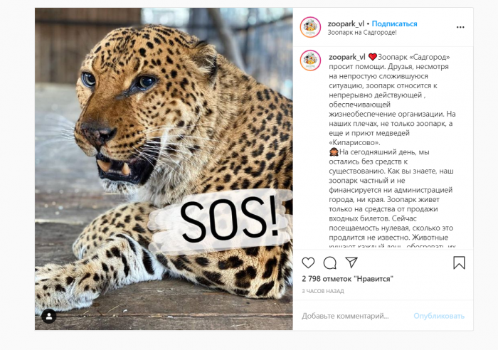 Скриншот: instagram.com/zoopark_vl, Объявлен сбор любой возможной помощи