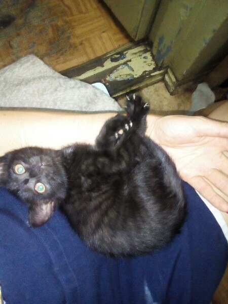 Это я, когда встретил своего Человека