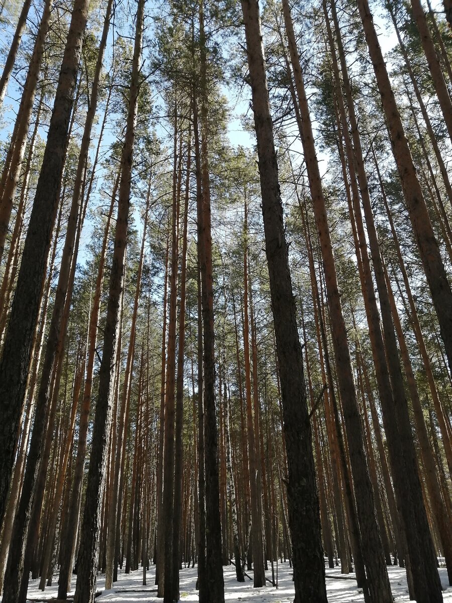 Изумительно 