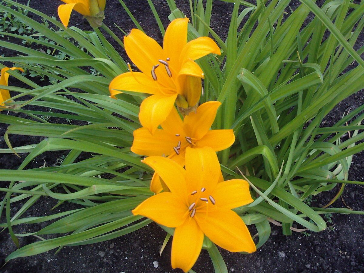 Фото Николая М., yandex.ru