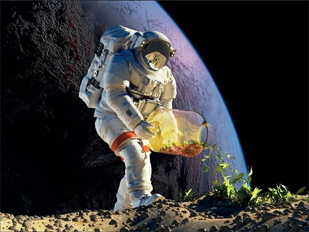 Фото из открытых источников