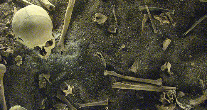 Давид расширил границы Израиля, провел множество реформ.