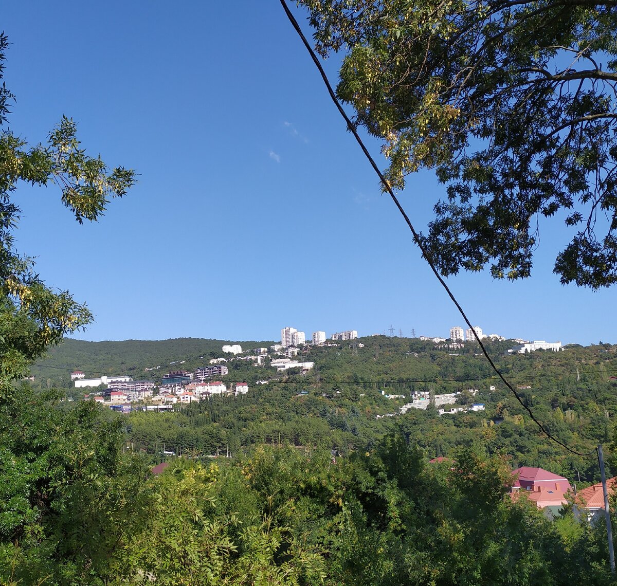 Крым. Ялта. Личное фото автора.