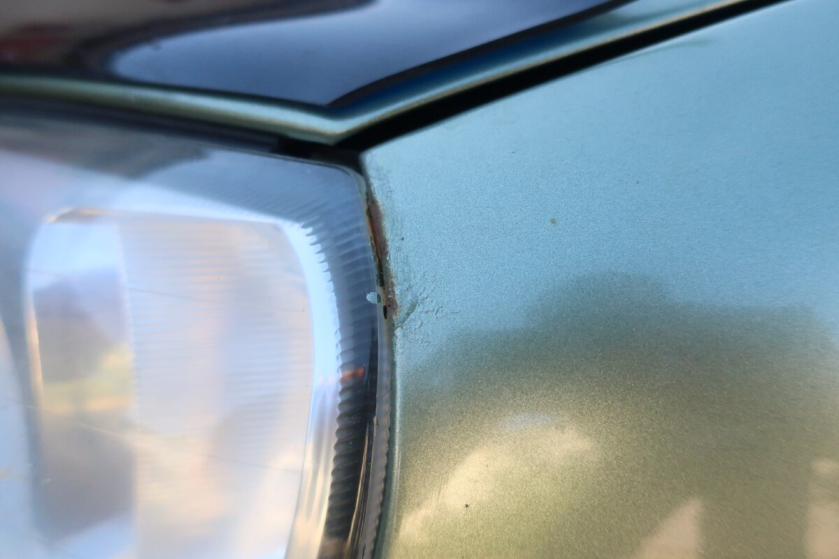 жучок скоро вылезет наружу