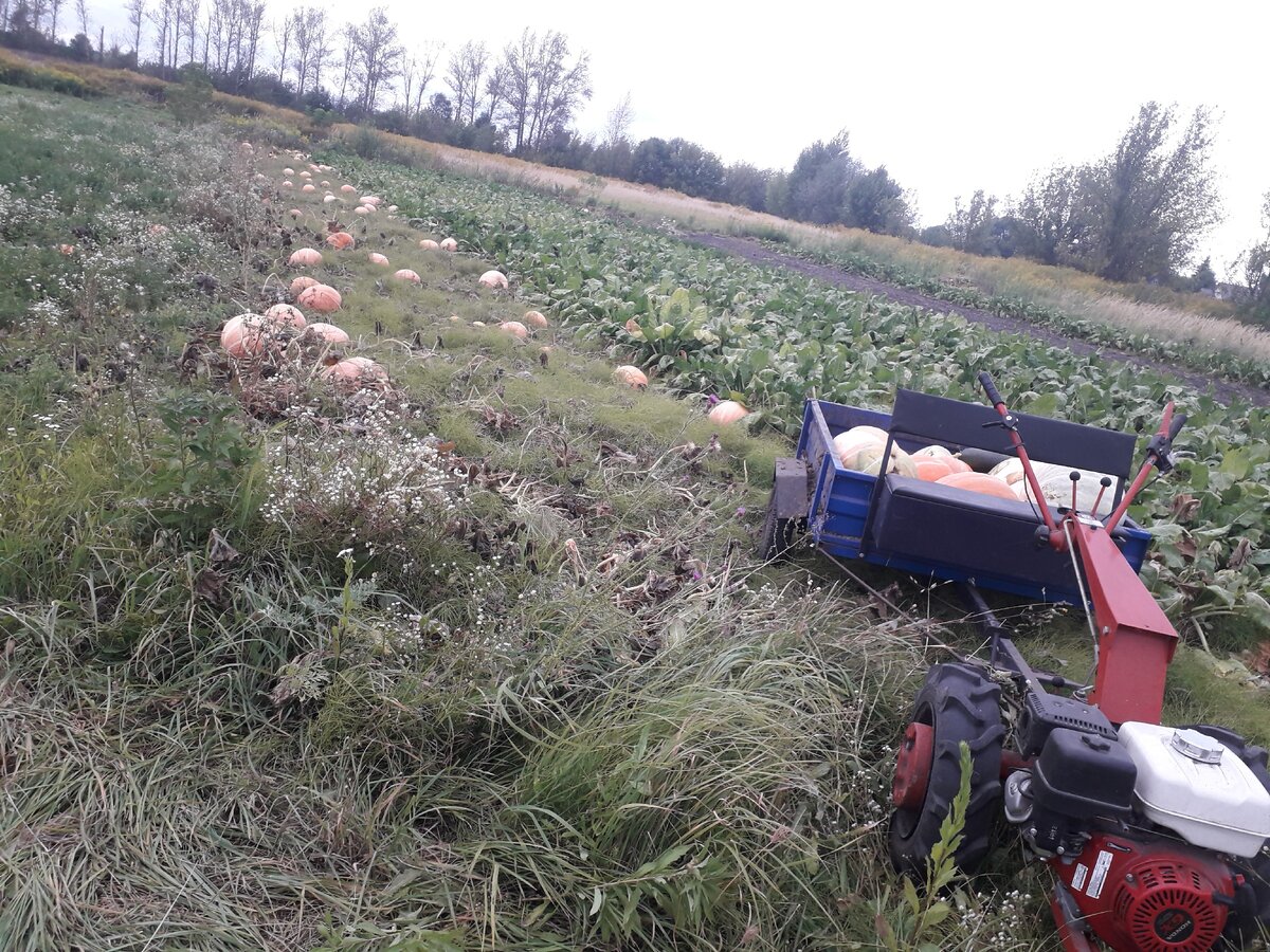 На мотолоке