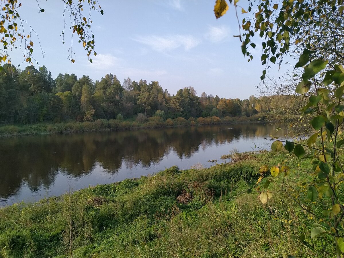 Берег Волги