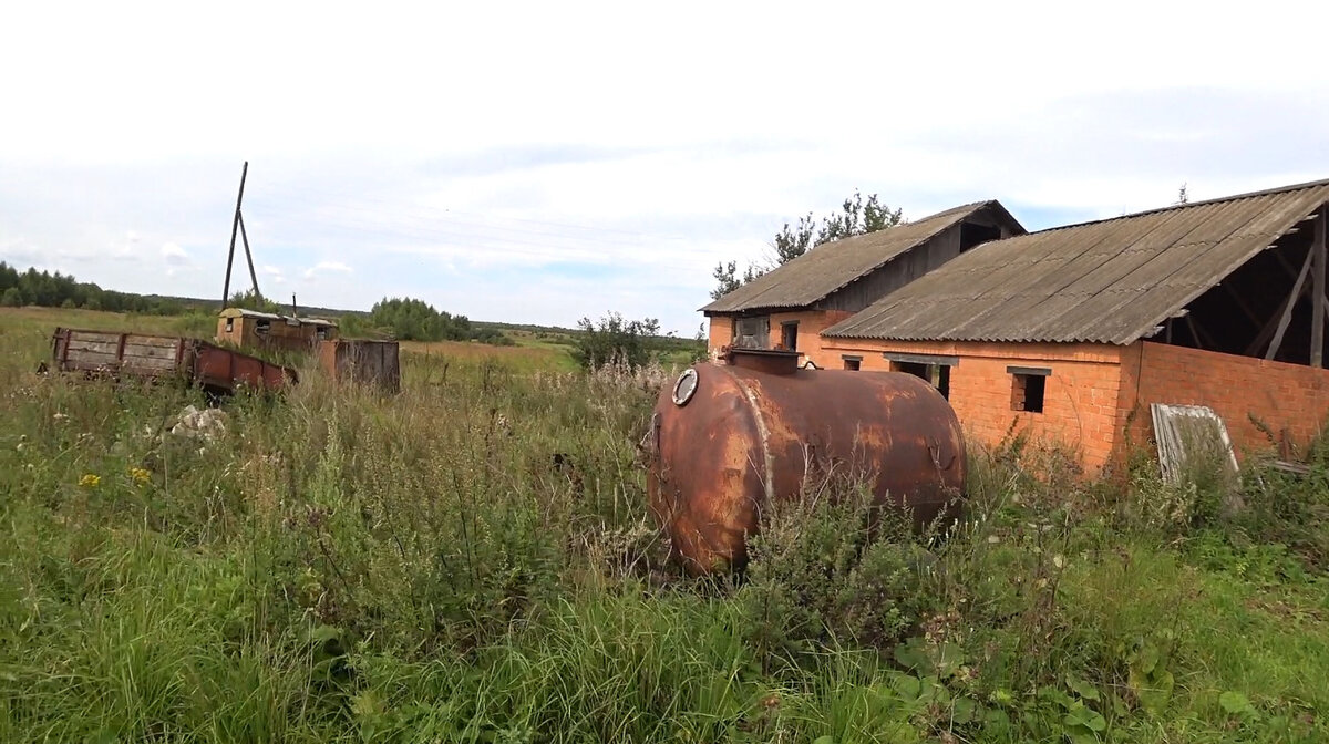 совхоз борский