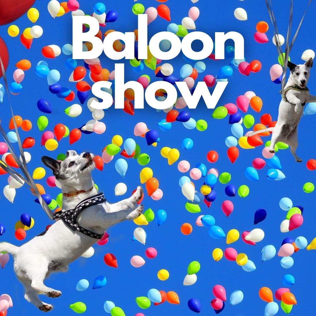 3000 шаров. Balloon show. Цирковые шарики стих.