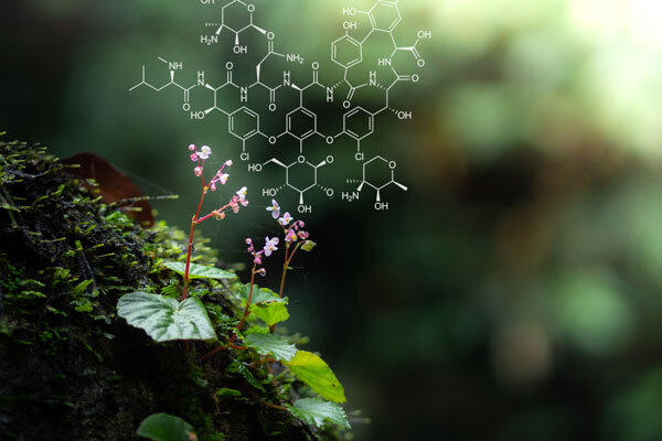 DNA ve Besin İlişkisi – Beslenme Genetiği