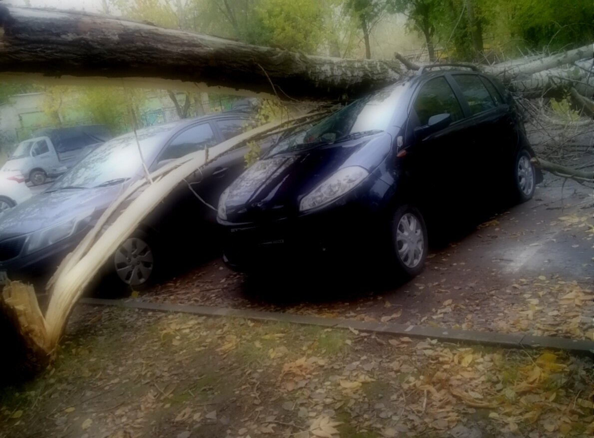 Какой машины падают. Машина разбивается в дребезги. Разбитая машина в дерево. Обломки разбитой машины красивый пейзаж. Разбитая Король машина.