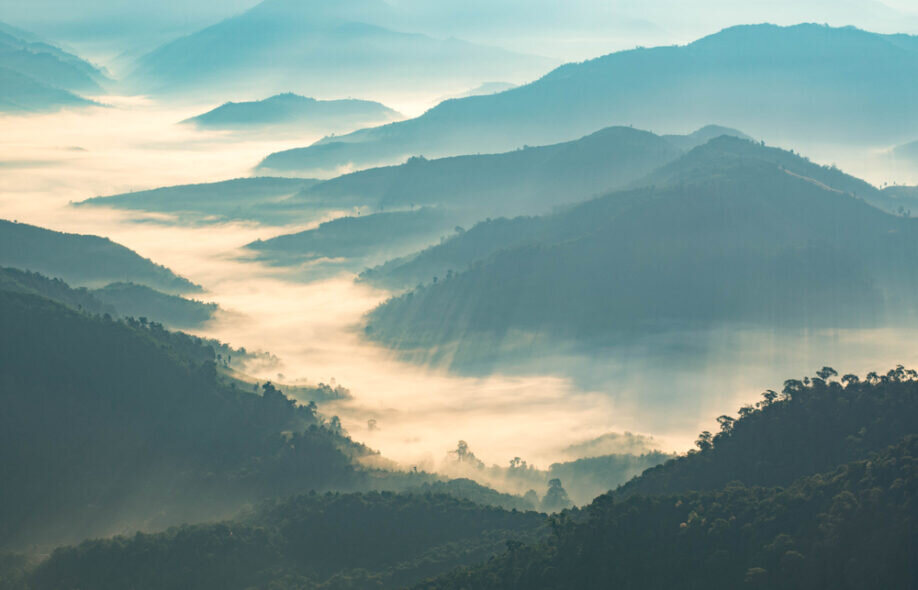 Изображение взято с Яндекс Картинок.