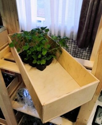 А еще у друзей подготовлены вот такие ящики под более крупные овощи или зелень. Заготовка делается так же с применением рулонов туалетной бумаги