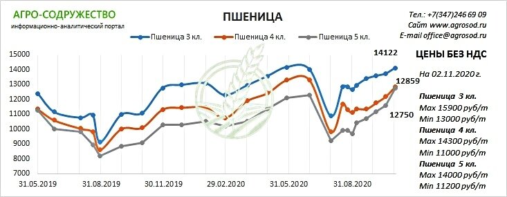 цены на пшеницу 2020 ноябрь, цены указаны без ндс