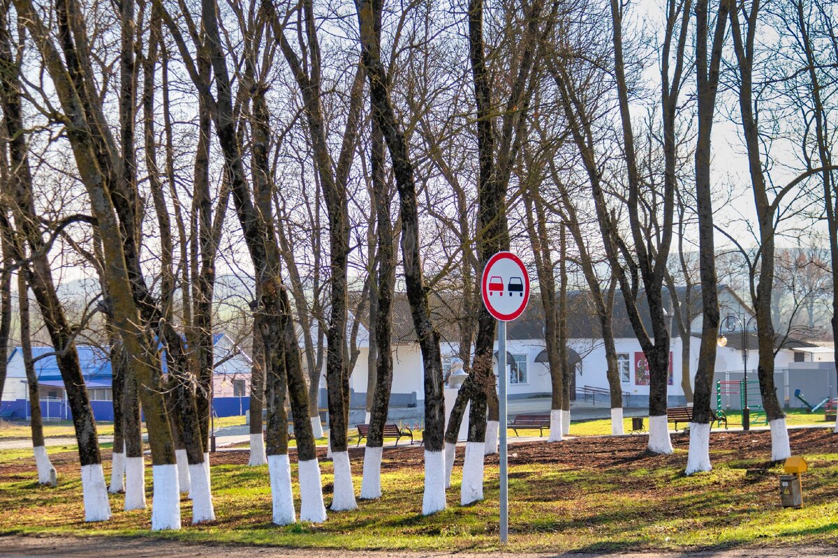 Погода в кеслерово крымского