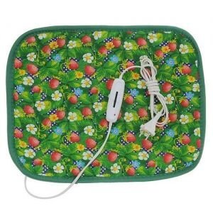Фото из интернета