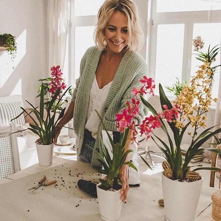 Цветущие орхидеи в кашпо LECHUZA ORCHIDPON