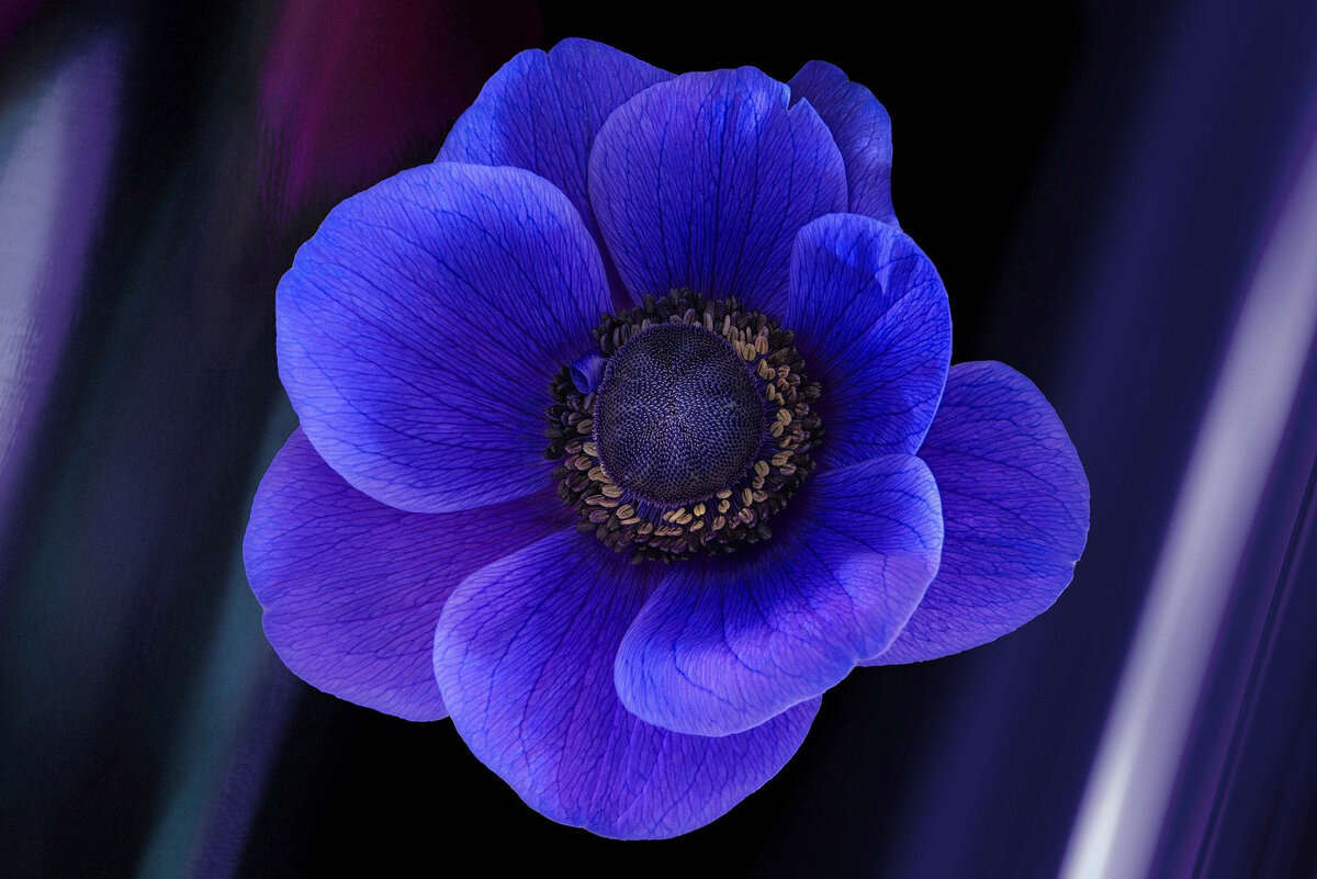 Фото pixabay.com