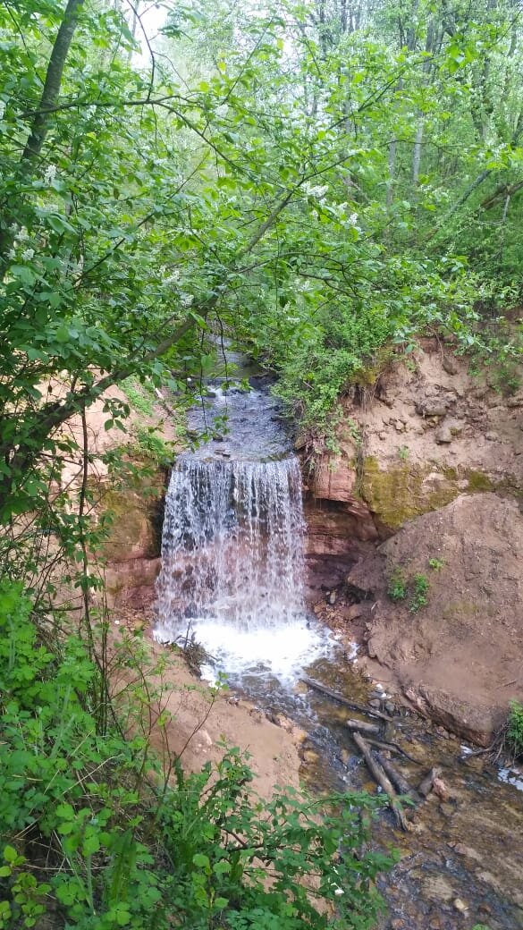 Вид спереди