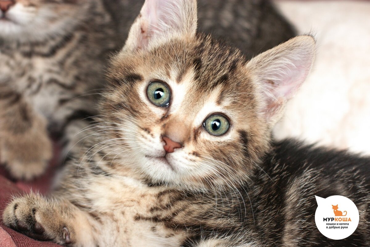 Малышка, счастье близко!