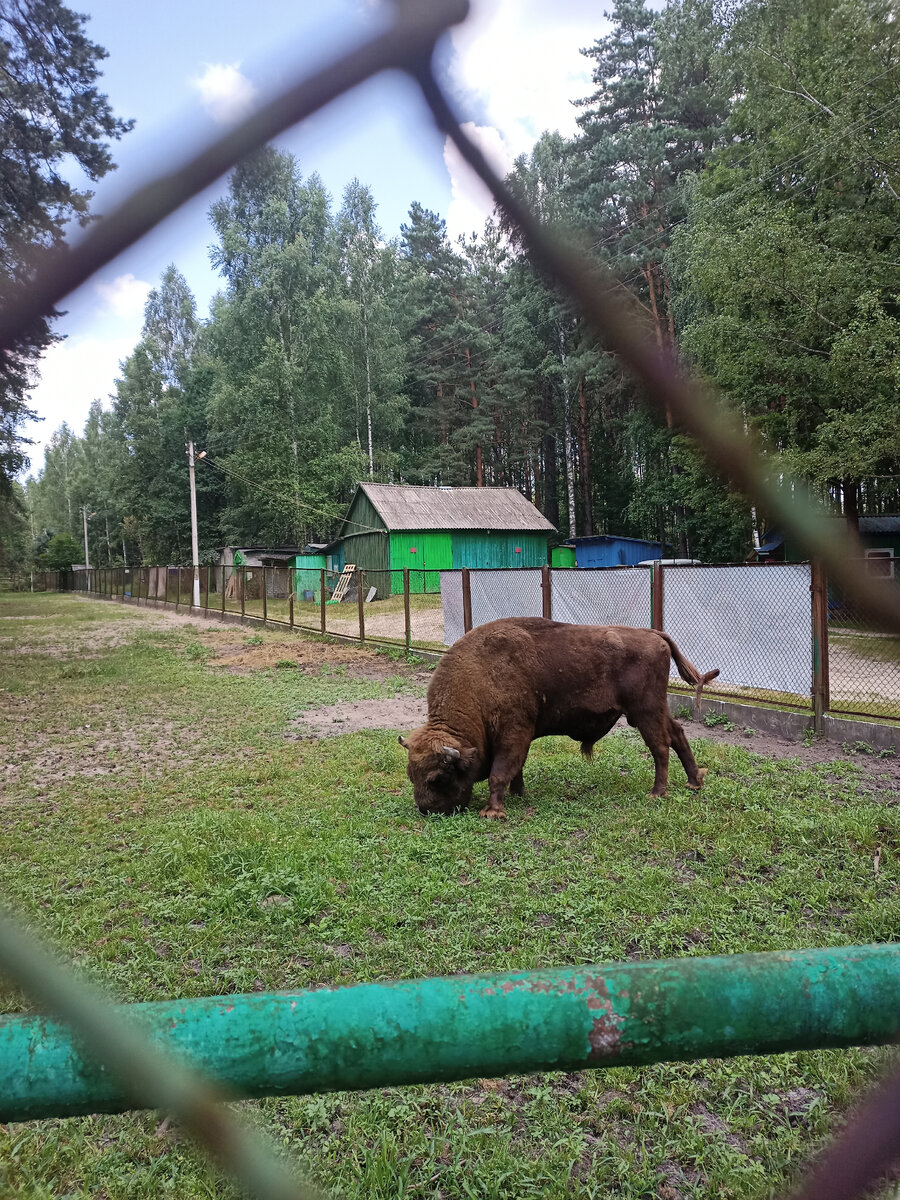 Фото автора канала Звон небес