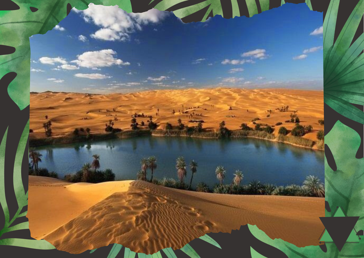 В Сахаре уже существую своеобразные «Тропики» - оазисы. Но она станет вся такой, если температура планеты продолжит расти. 