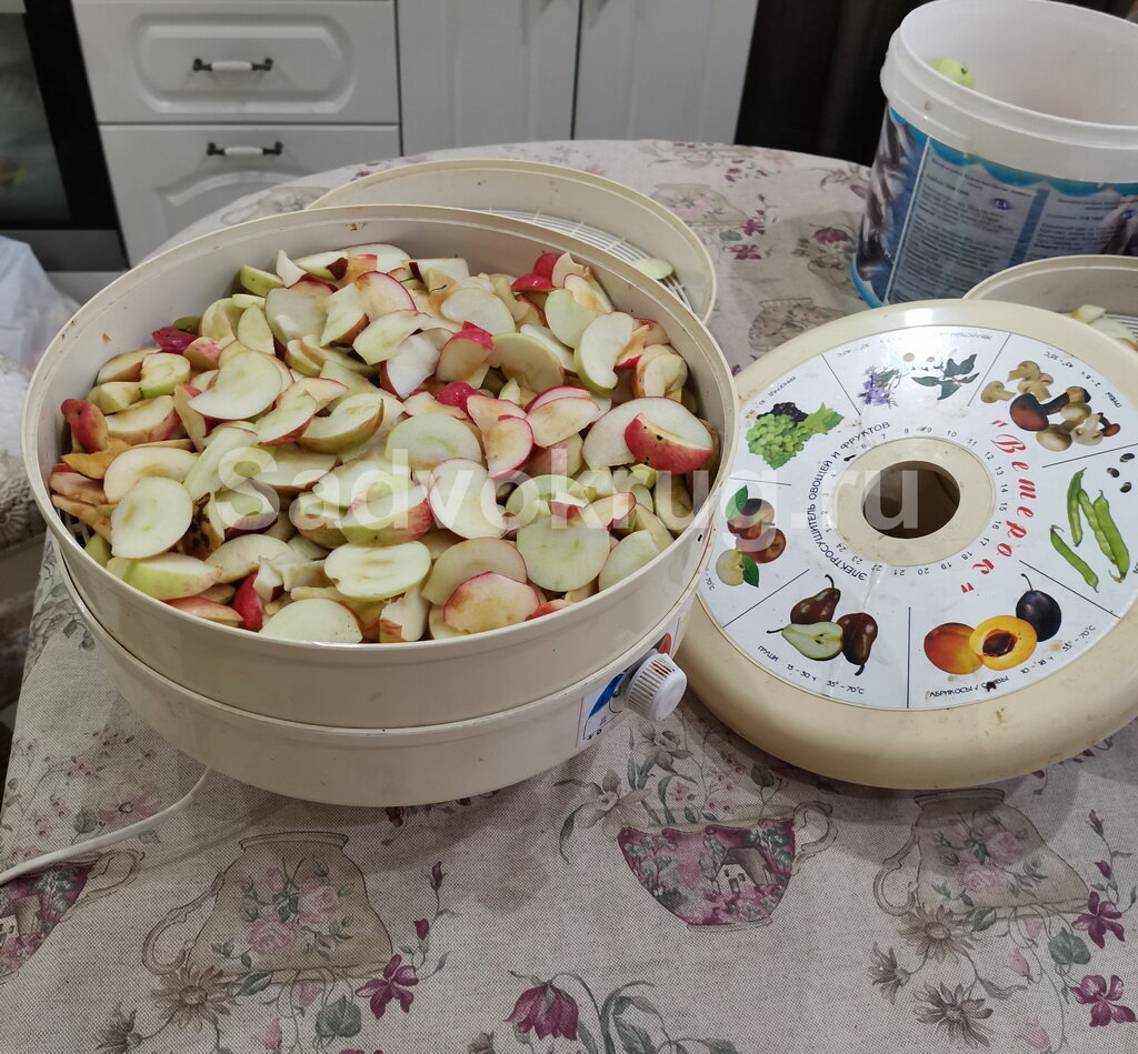 На фото электросушилка, заготовки на зиму.