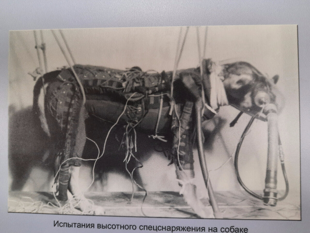 Фотография из коллеекции автора блога