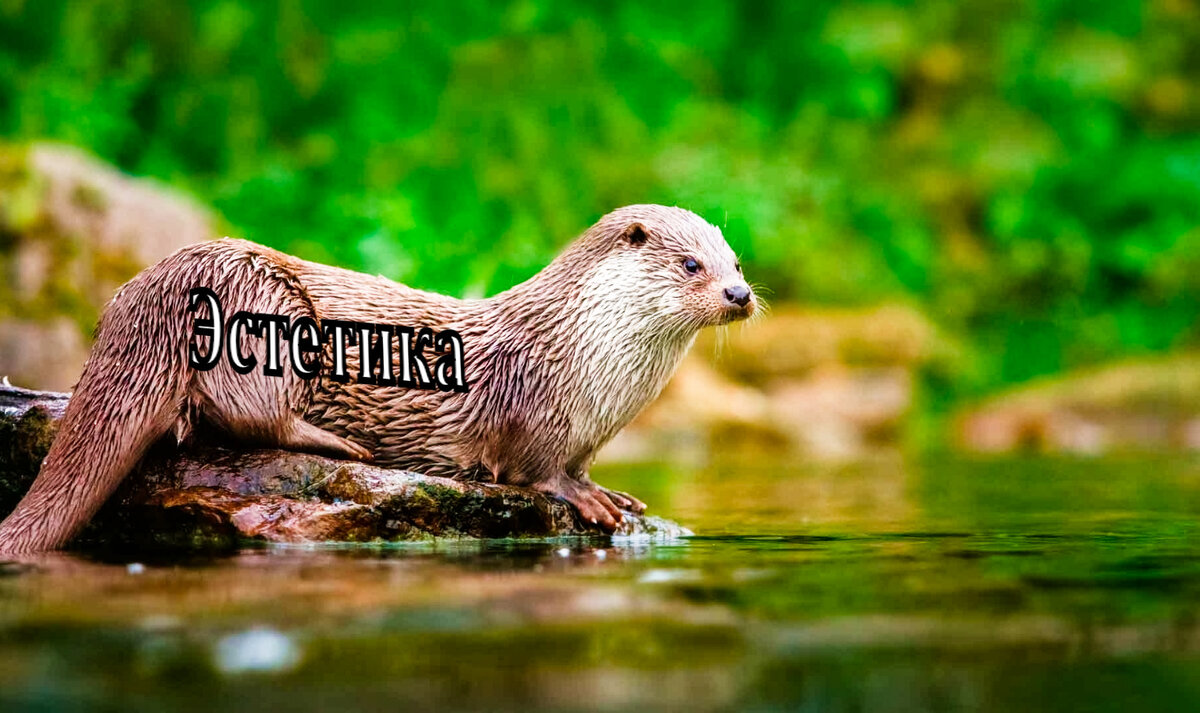 -Ну давай ныряй, хватит фоткаться!