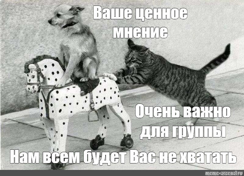 Мемчик из интернета