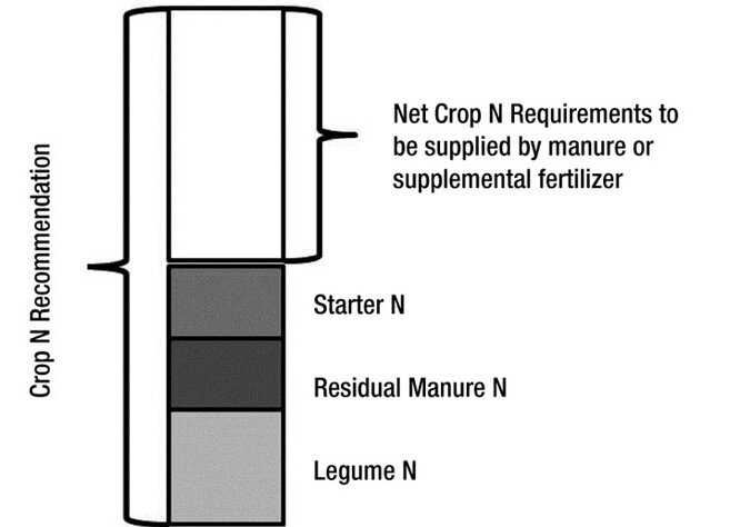 
Рисунок 2. Чистая потребность сельскохозяйственных культур в азоте.