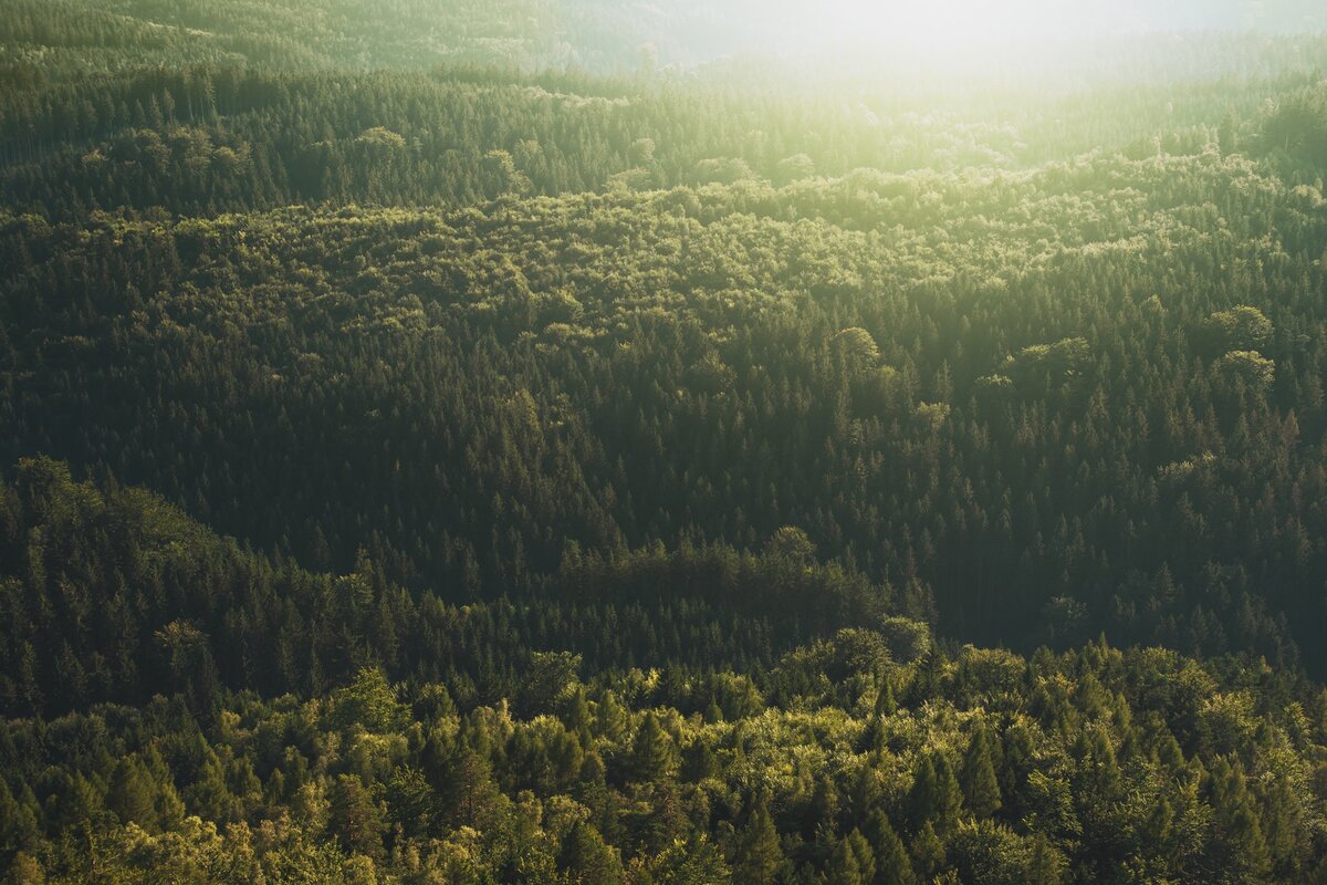 Фото автора Daniel Frank: Pexels