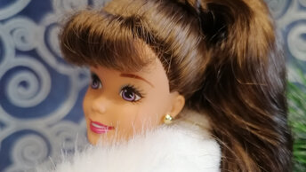 Winter Barbie, rhapsody.
