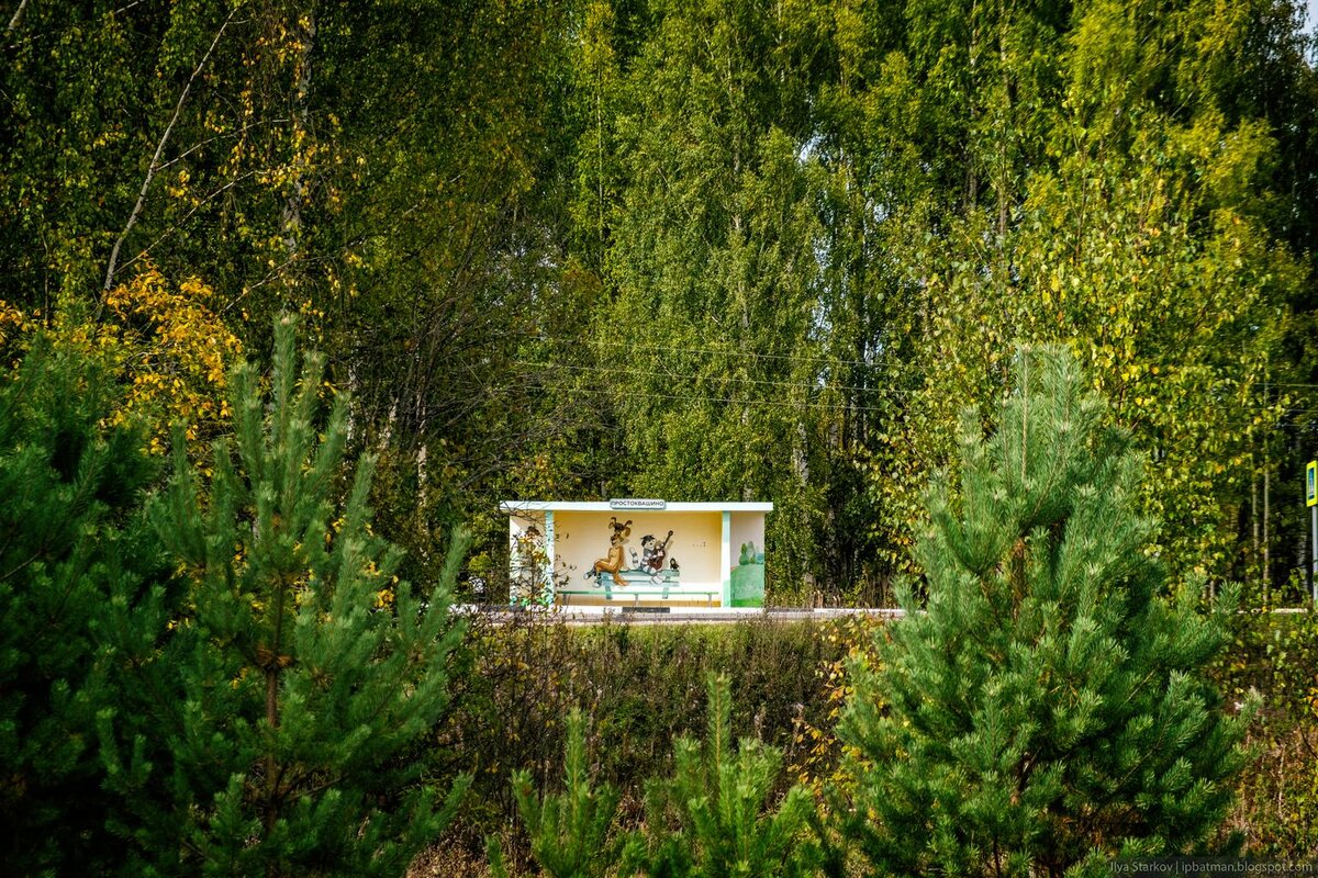 Простоквашино, то самое (Нижегородская область) | Блог заметок и фотографий  | Дзен