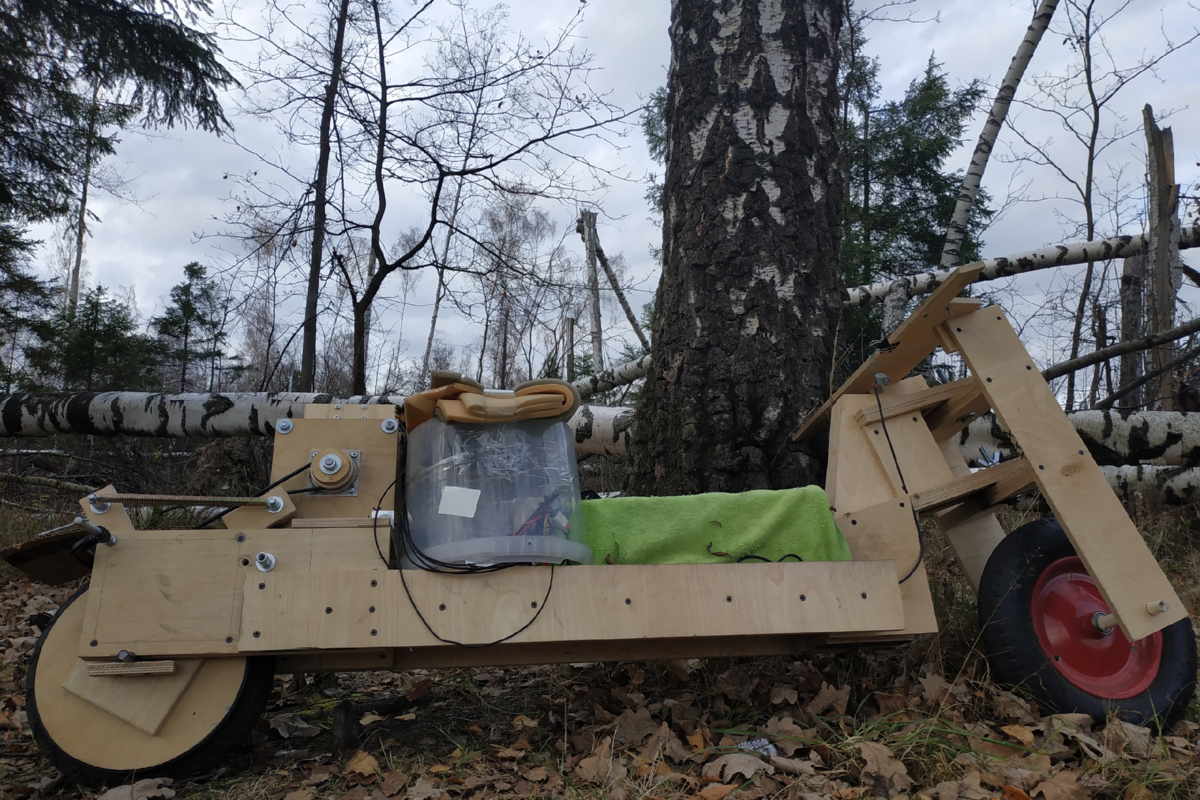Первый вариант самоката из фанеры на электротяге.