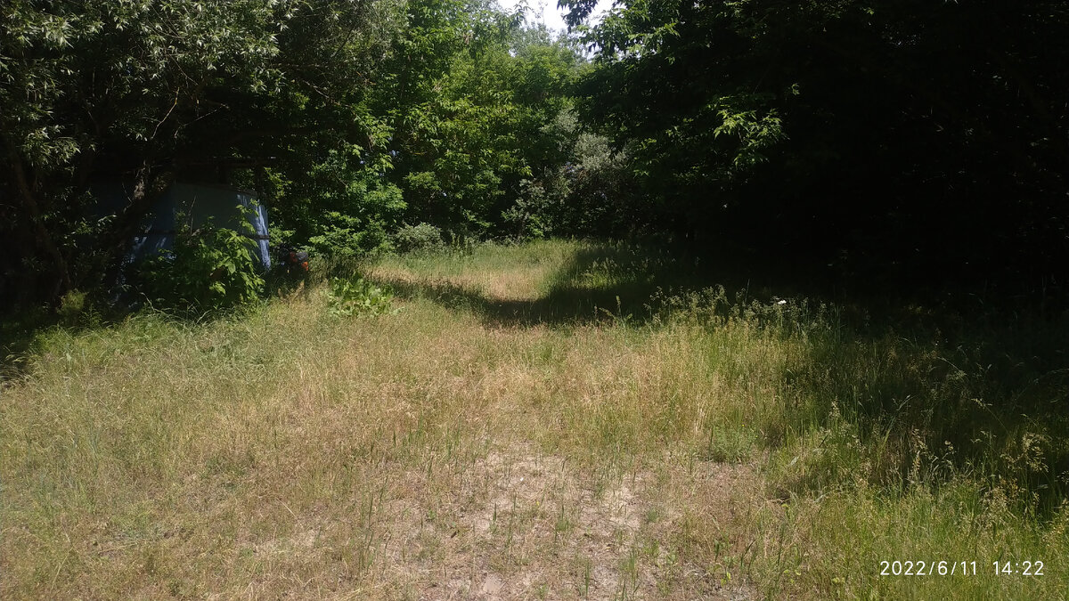 Место отдыха около речки 