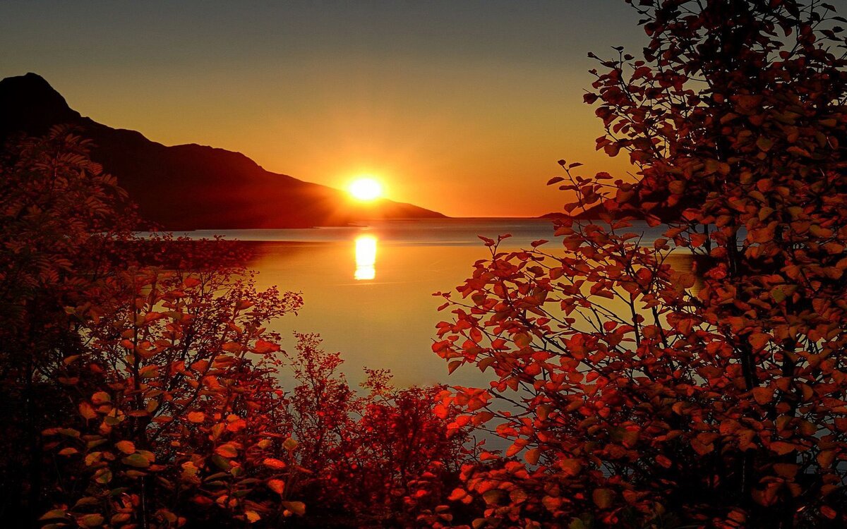 Картинки из интернета