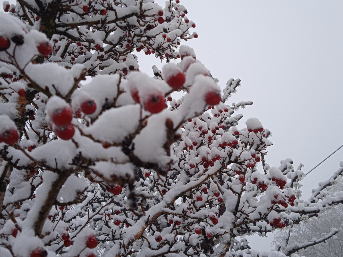   ГТРК "Ставрополье"
