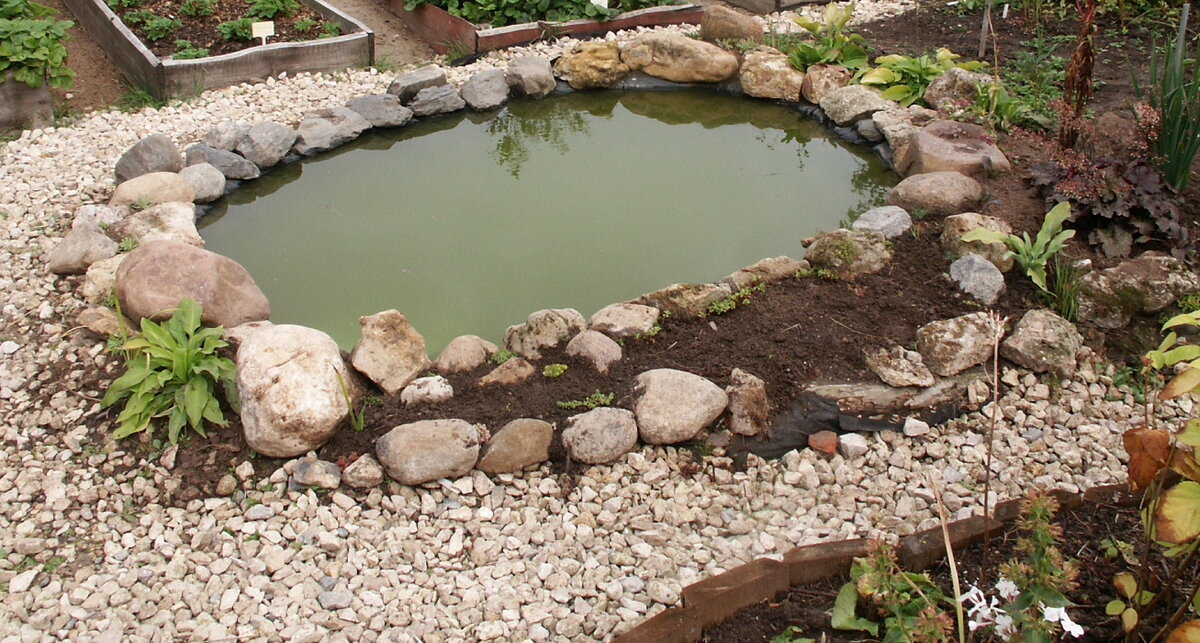 Из фотоархива: разные годы (с 2005-го), разные сезоны, разные ракурсы.